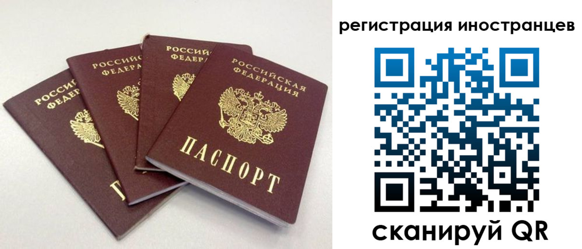 временная регистрация для школы в Гусь-Хрустальном